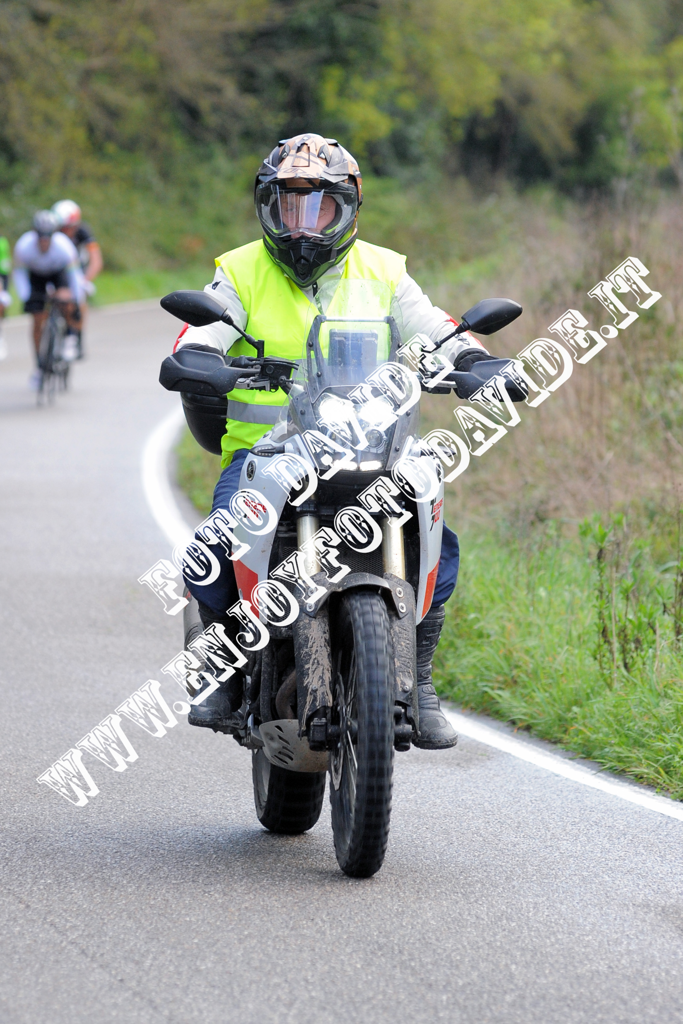 Grilli di Gavorrano (GR)